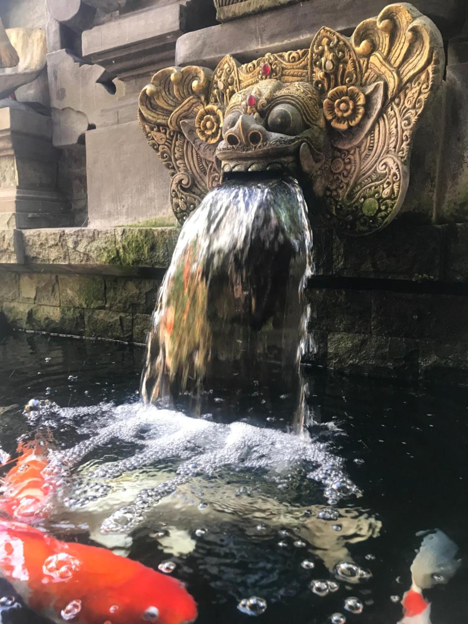 Banana Home Stay Ubud 외부 사진