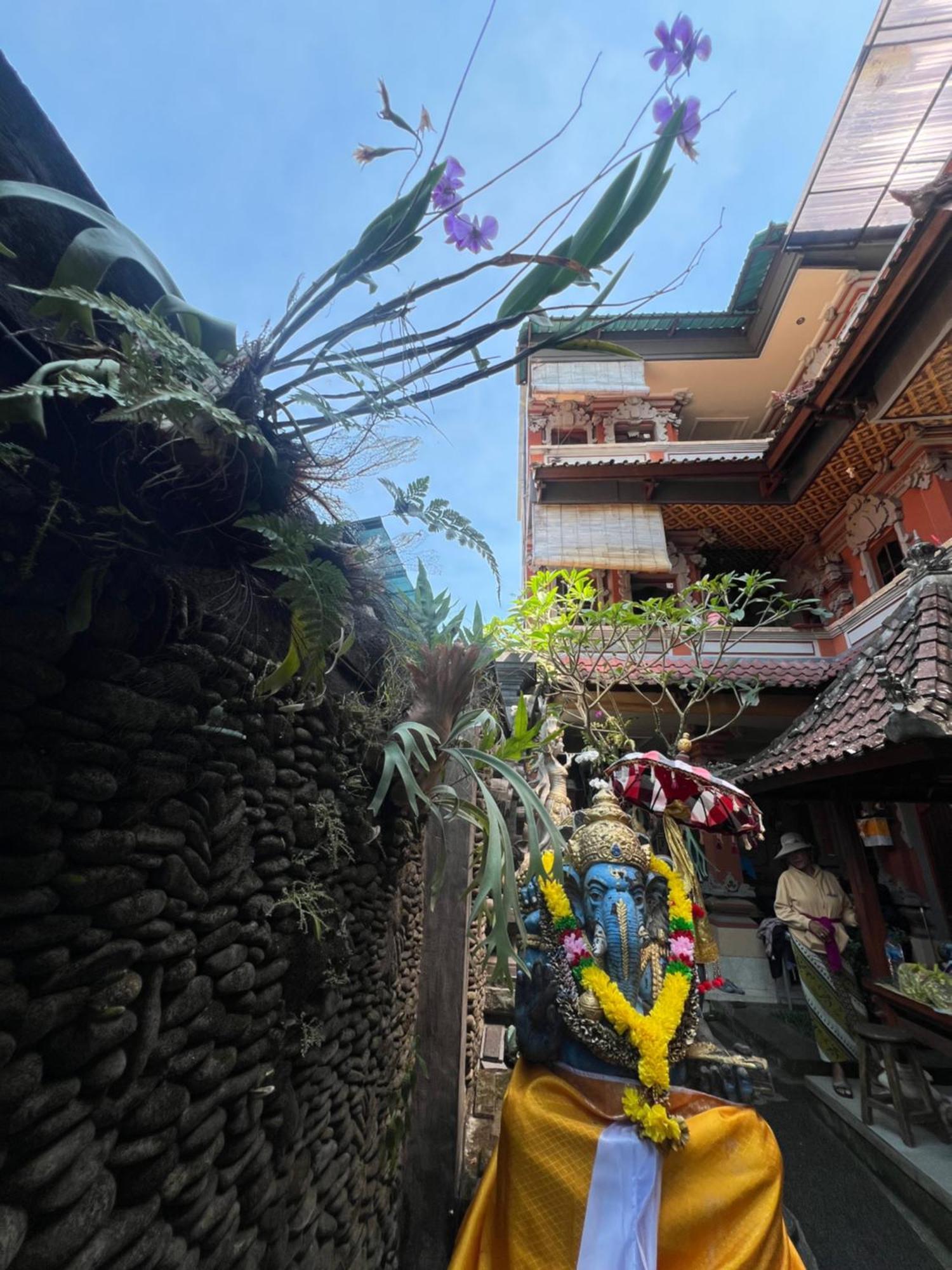 Banana Home Stay Ubud 외부 사진